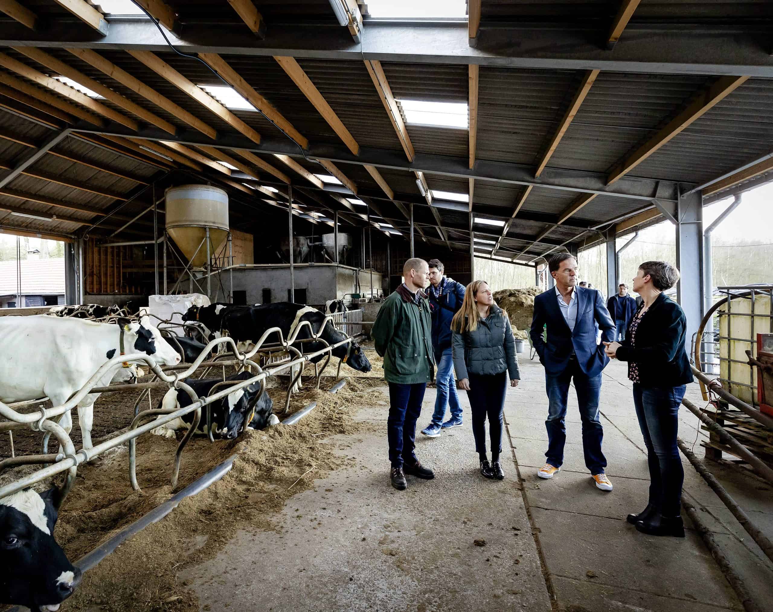 Wil Rutte de Nederlandse voedselproductie in handen zien te krijgen?￼