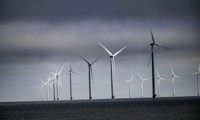 Petitie tegen natuurramp op Noordzee: 30.000 windmolens
