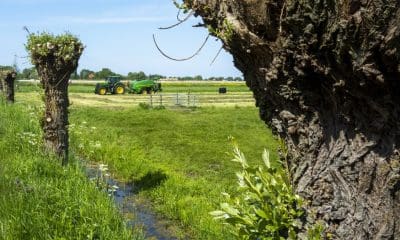 Nederlandse boeren hebben laagste milieu-impact ter wereld