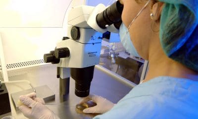 ‘Over experimenten met embryo’s geen ethische discussie geweest’