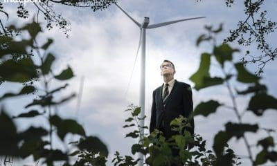 Vechten tegen windmolens: terrorisme?!